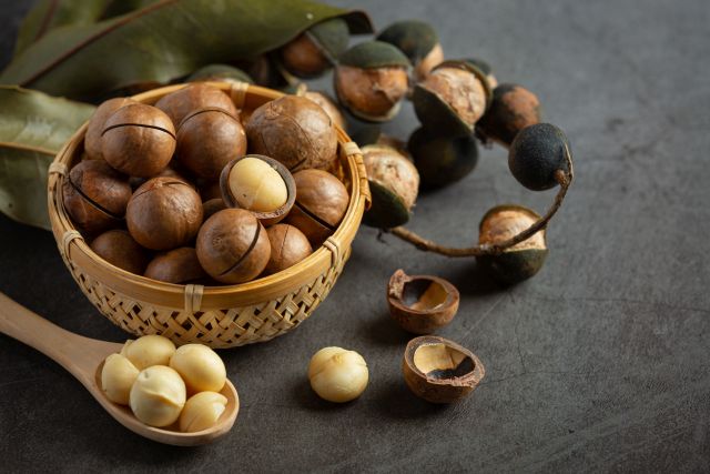 makadamovy orech-zdrave tuky-zdroj energie-zdroj vitaminov-horcik-vapnik