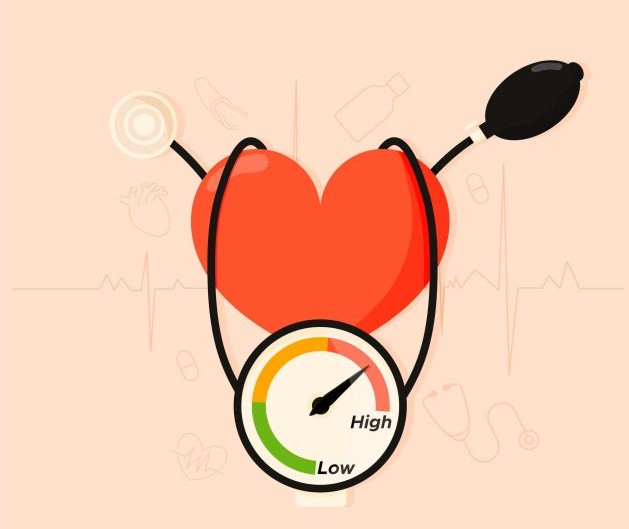 zdravy-cholesterol-fytosteroly-kardiovaskularny system-energia-srdce-cievy-zdravy-snack-zdrave-tuky-makadamove-orechy-orechy